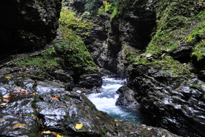 Der Frutzbach rauscht durch das Laternsertal und hat dabei die Üble Schlucht geschaffen. Foto: Norman und Lisa