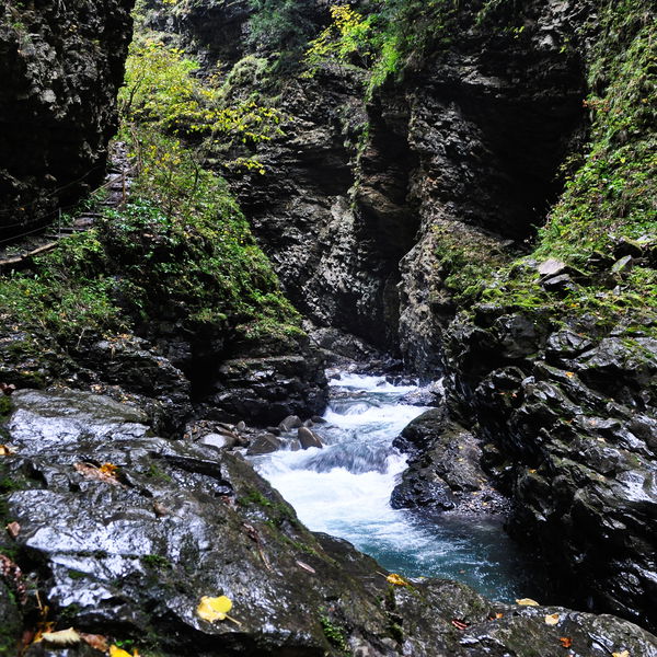 Durch die Üble Schlucht