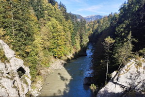 Foto: Nikolaus Vogl