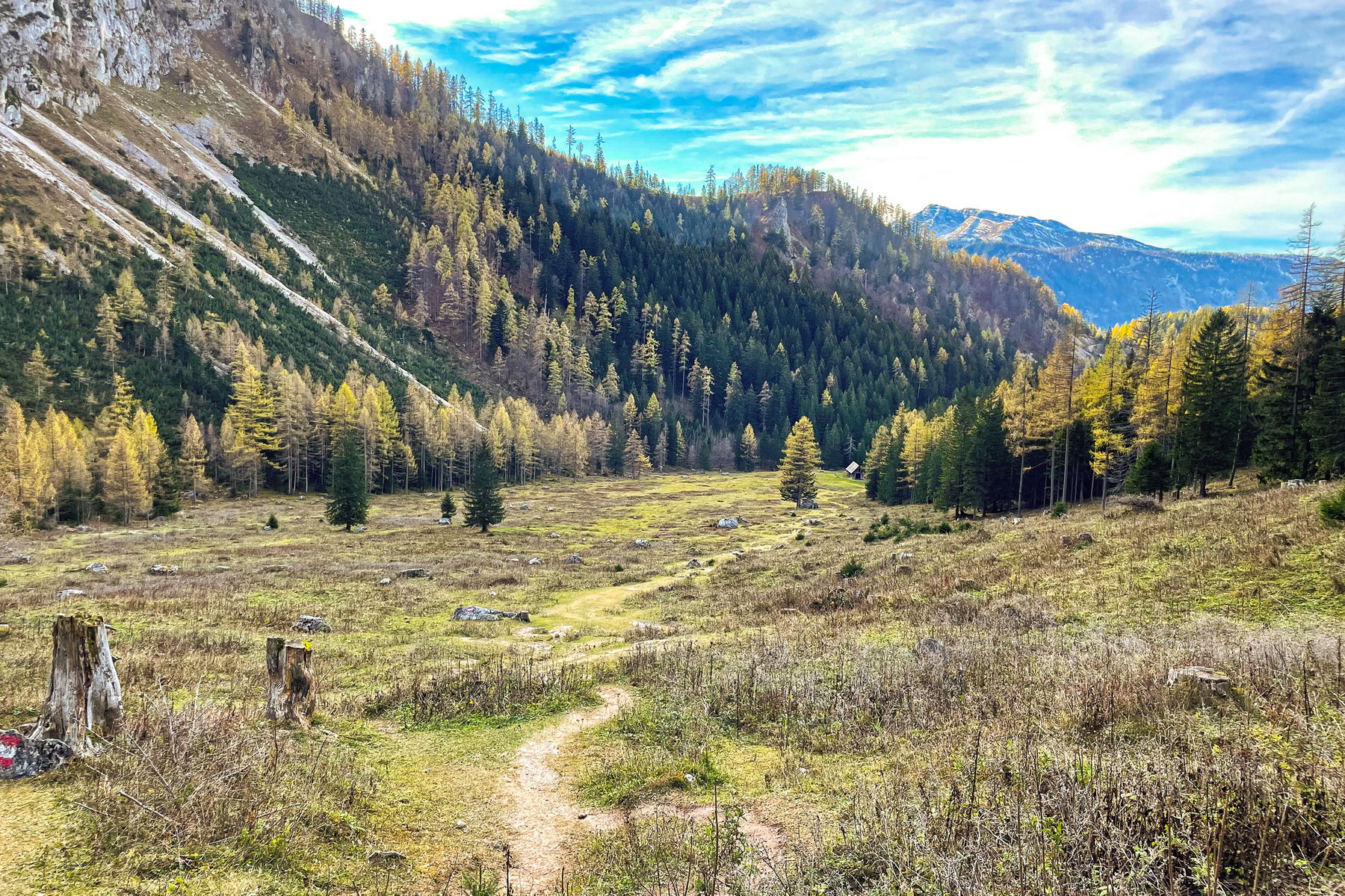 Auf zur Gowilalm – mit Bahn, Bus und Wanderlust