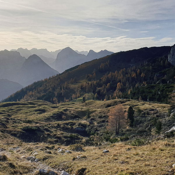 Iss was am Hochiss!