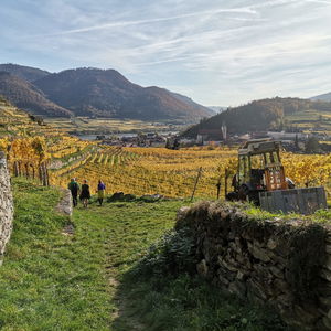 Wachauer Herbstspaziergang durch das Rote Tor