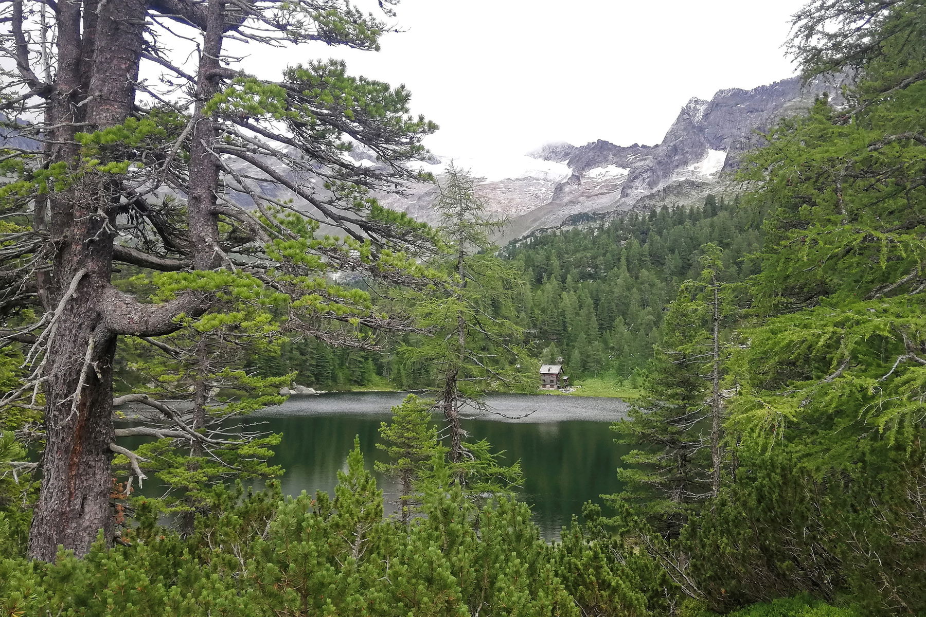 Vom Kötschachtal zum Reedsee