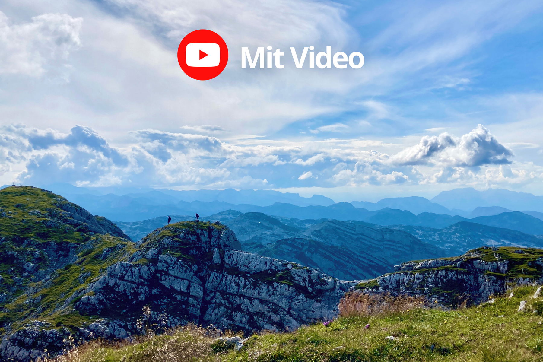 Zirkus am Berg mit Heidelbeeren