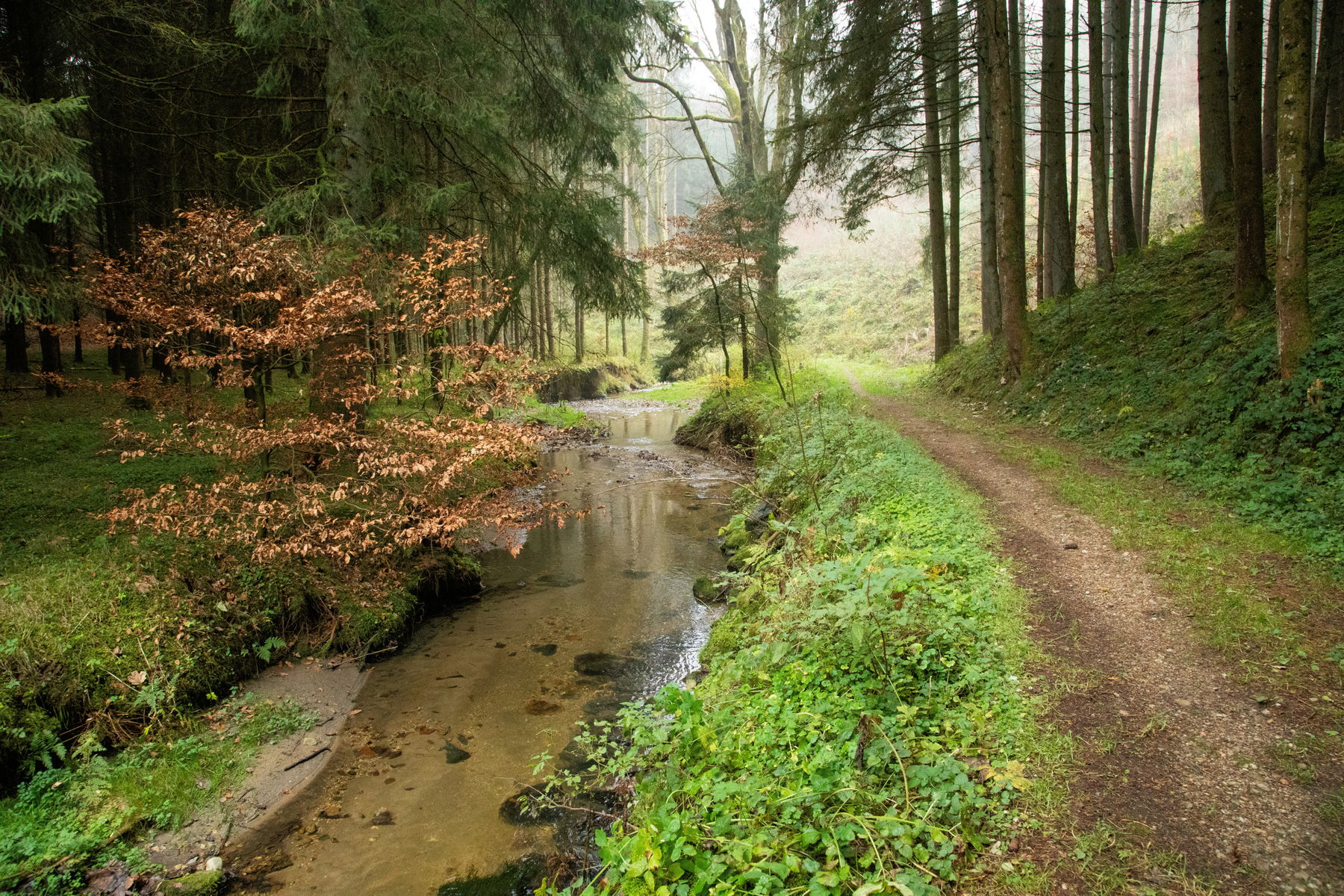 Von Bach zu Bach und Burg zu Schloss