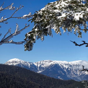 Pinkenkogelrunde am Semmering