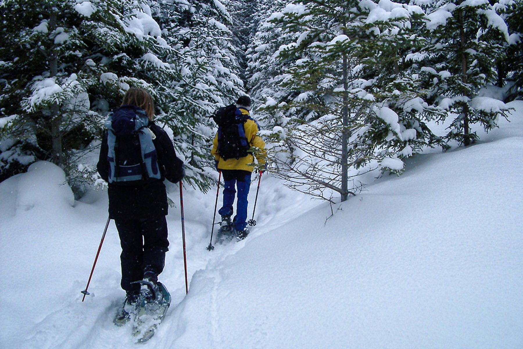 Schneeschuhwanderung auf den Kreuzschober