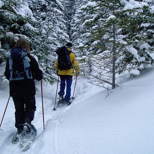 Schneeschuhwanderung auf den Kreuzschober