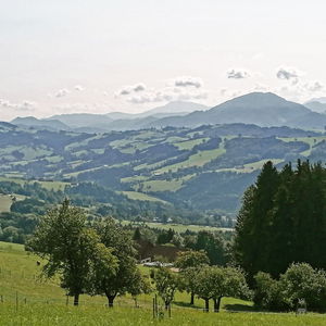 Lasst uns übers Klima reden! Höhenwanderung von Waidhofen über den Sonntagberg nach Rosenau