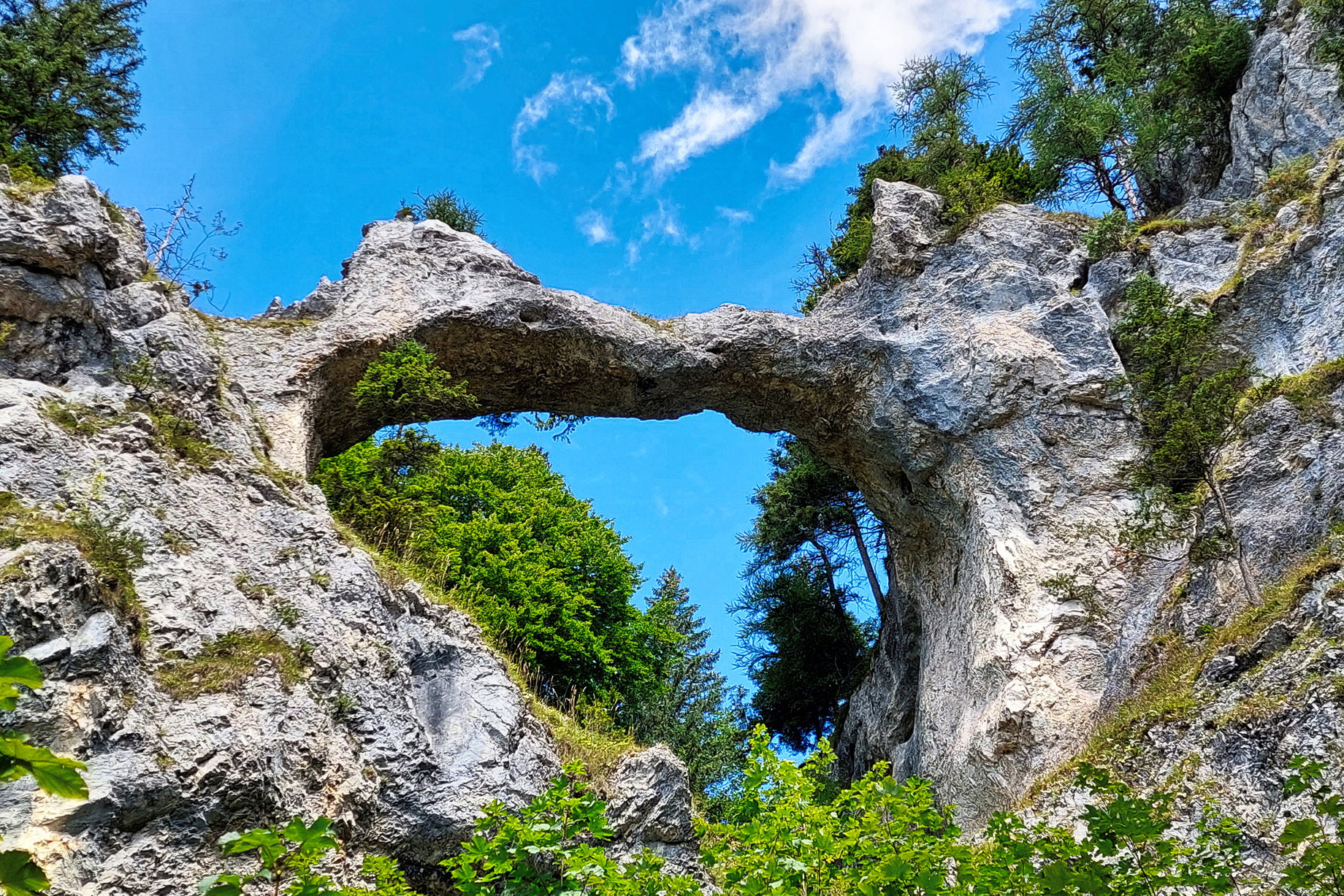 Blick vom Rundweg auf die Teufelsbrücke. Foto: Alice Frischherz