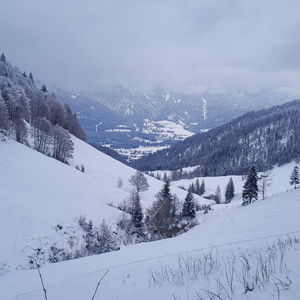 Skitour auf den Wallerberg (Pillerseetal)