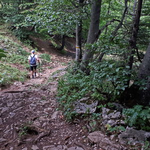 Mamauwiese beim „Faden“-Schneeberg