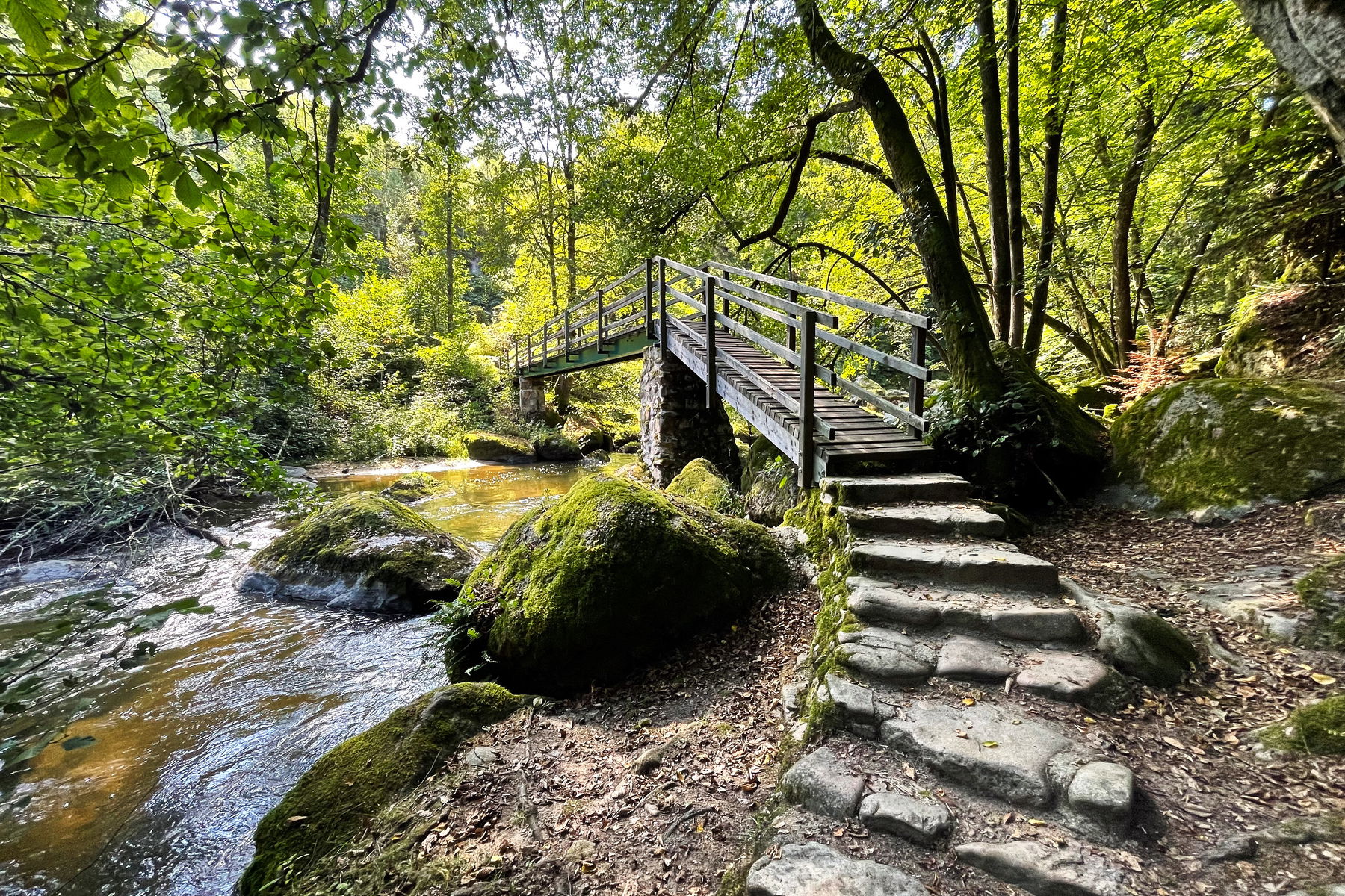 Waldluftbaden und Flussrauschen im Wald- und Feldaisttal