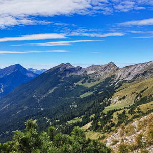 Dem Daniel aufs Haupt