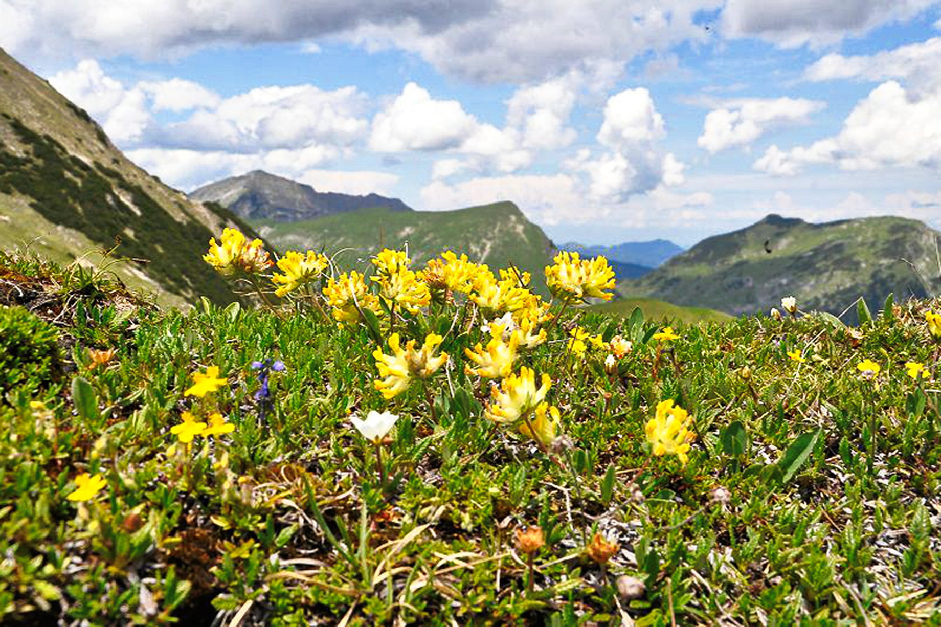 Schafreiter und Fleischbank. Foto: A. Heufelder