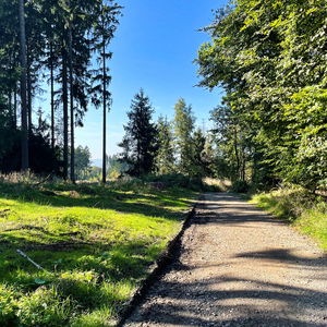 Kürnbergwald Überquerung mit Gipfelbesteigung light