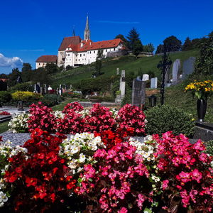 Pilgerwanderung über den Plabutsch