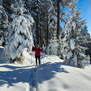 Vom Attersee über die Hochplettspitze zum Mondsee - in Schneeschuhen