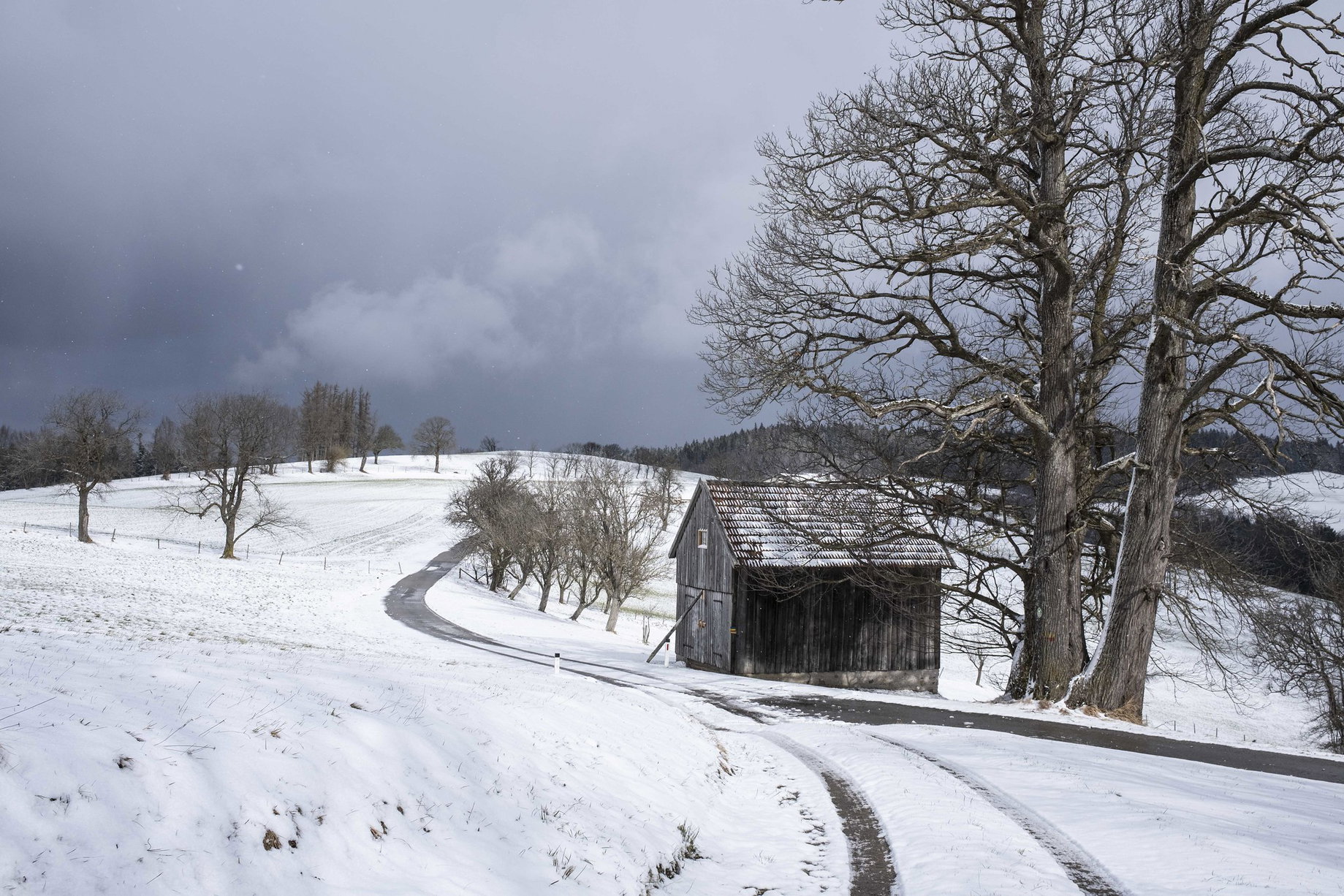 Asphaltstraße zwischen den Bauernhöfen. Foto: Birgit Reiter