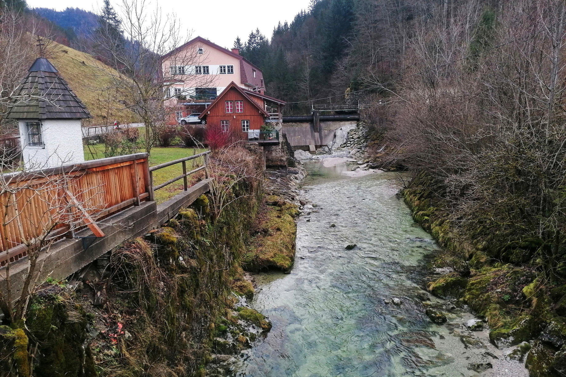 Der wunderschöne Ybbssteinbach. Foto: Sarah Pallauf