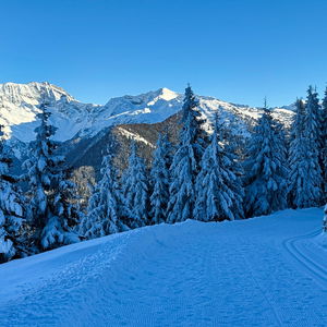 Winterwanderung von Gries am Brenner über die Nösslachhütte zur Bergeralmbahn