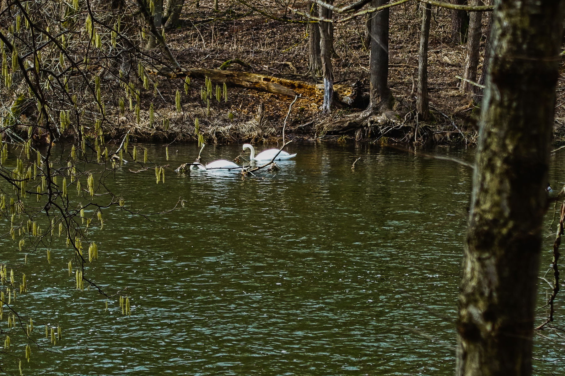Weinberge und Thaya: Von Retz nach Znaim