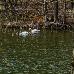 Weinberge und Thaya: Von Retz nach Znaim