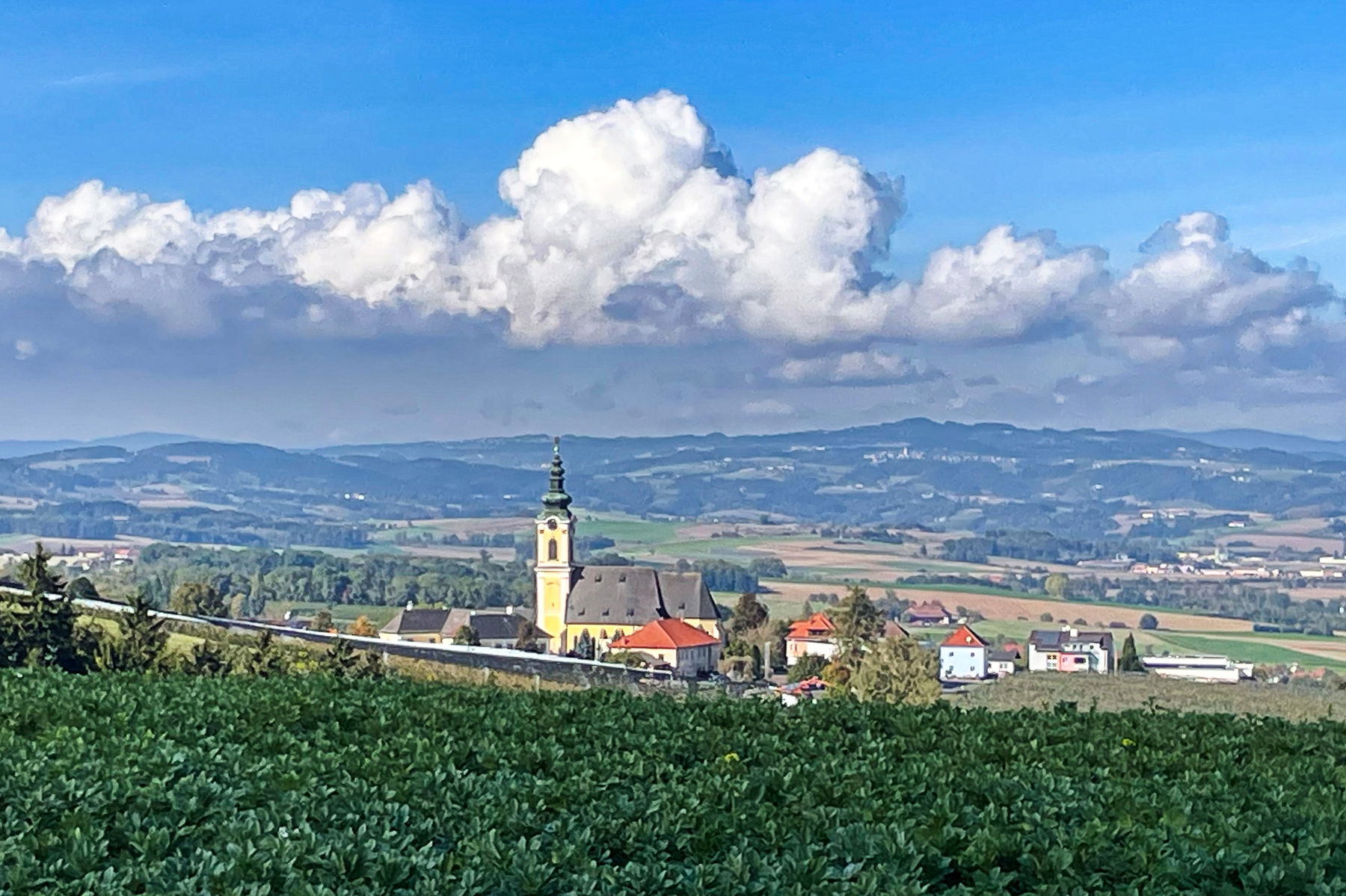 Kirschblütenweg im Herbst