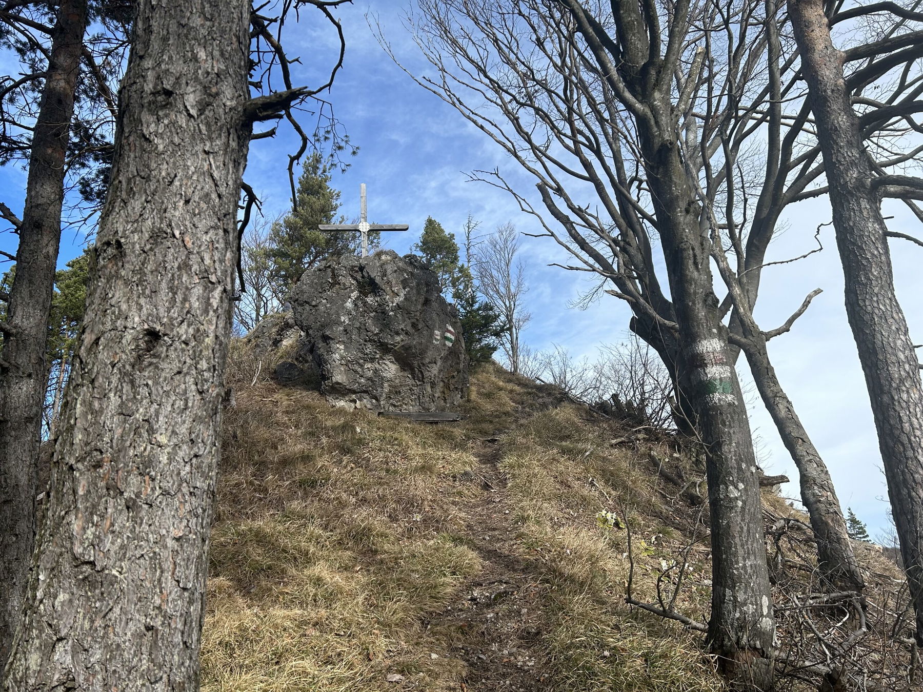 Schneerosen am Lorenzipechkogel