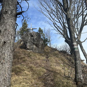 Schneerosen am Lorenzipechkogel