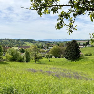 Anton Bruckner begegnen, von Linz nach Enns