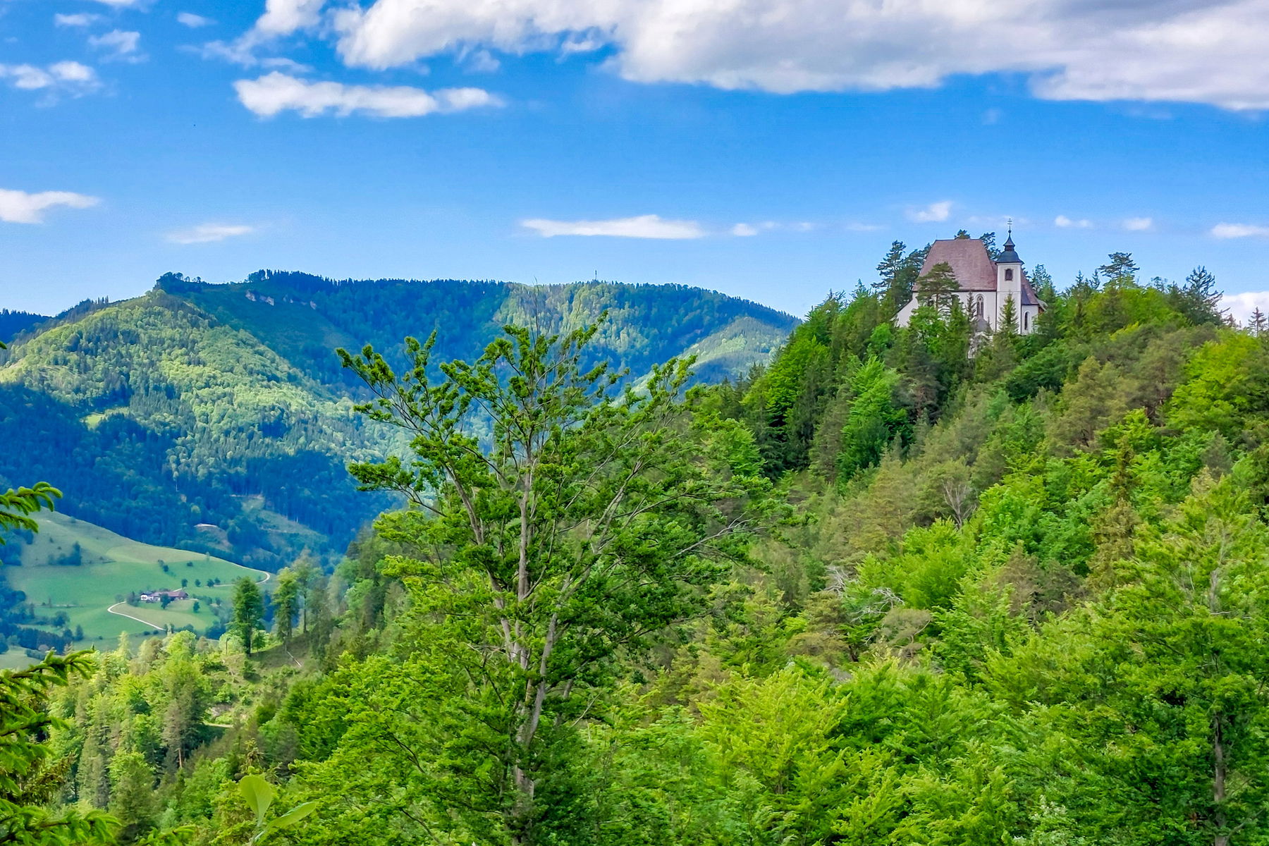 Von Gaflenz über den Heiligenstein nach Weyer