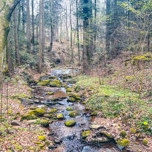 7-Bacherl-Weg in Stubenberg am See