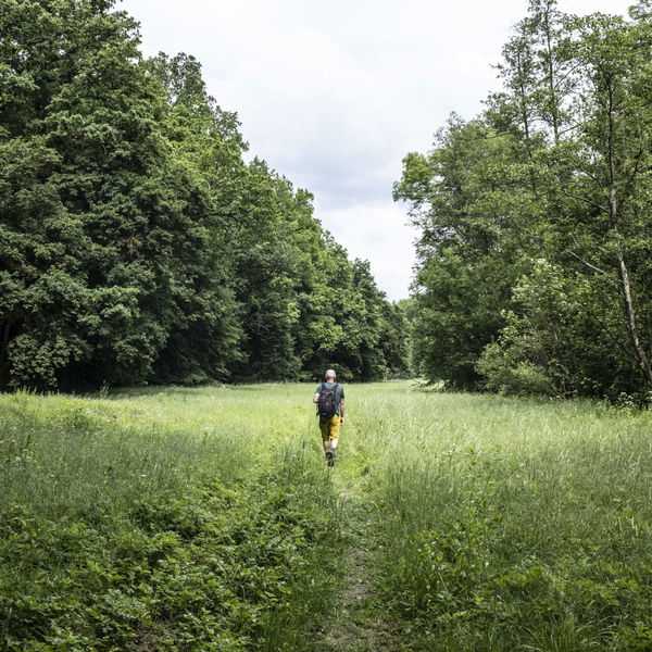 Gemütliche Wanderung im idyllischen Taffatal
