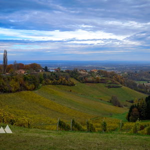 Durch die südsteirischen Weinberge zur Aussichtswarte am Platschberg (Plački vrh)