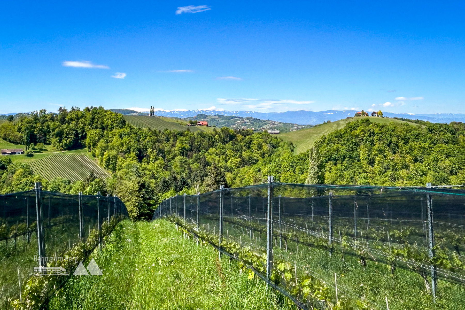 Wanderung auf Silberberg und Kreuzkogelwarte in der Südsteiermark