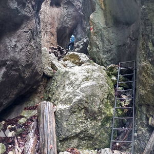 Plaudernd um den Schneeberg herum: BzB-Mitgliederwanderung durch die Weichtalklamm