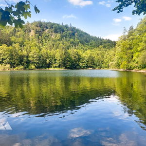Kurzer Ausflug zum Nussensee