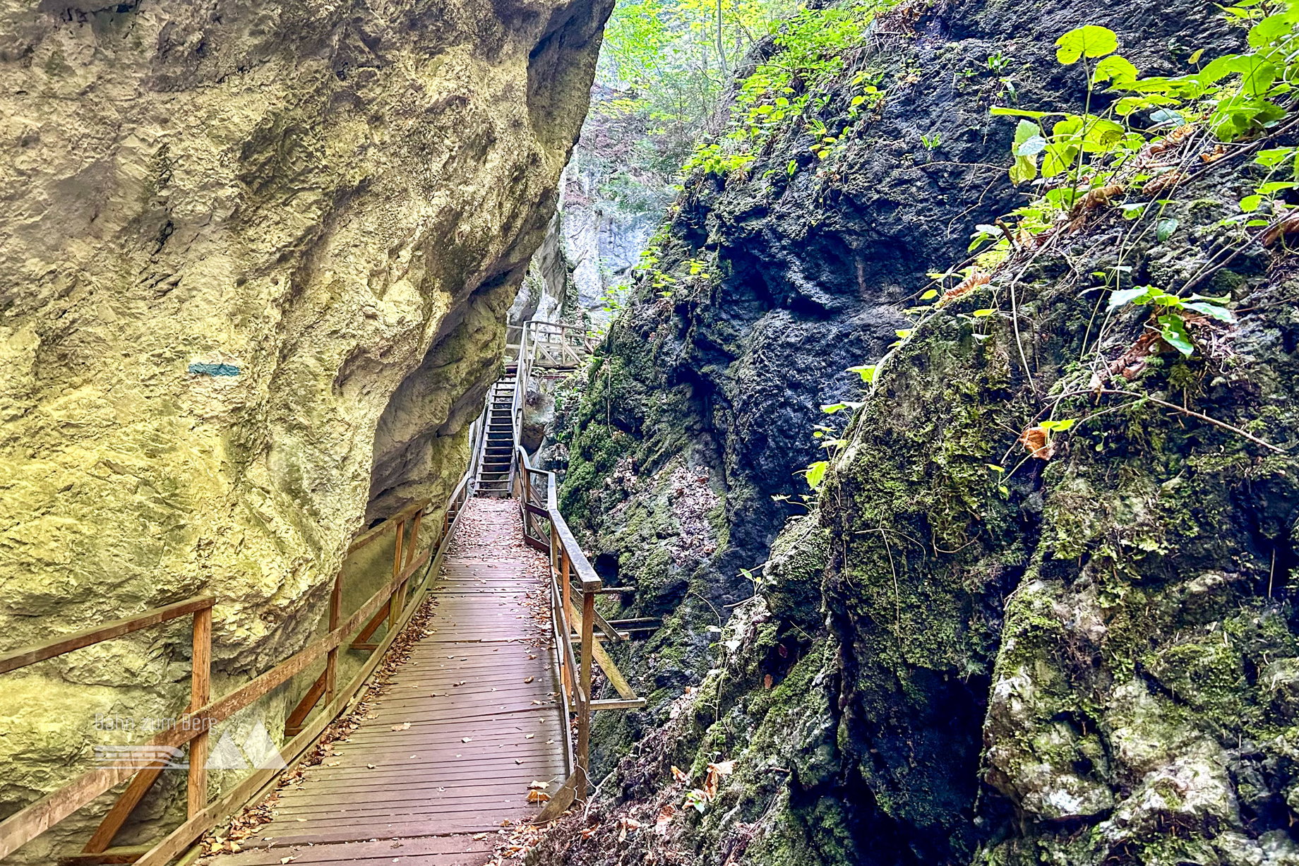 Steinwandklamm. Foto Veronika Schöll