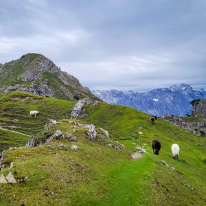 Zugspitzpanorama vom Kramerspitz (1.985 Meter)