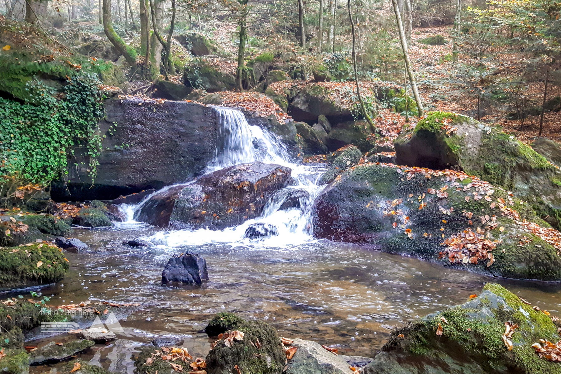 Gemütliche Herbstwanderung: Steinbachklamm – Maria Taferl – Artstetten