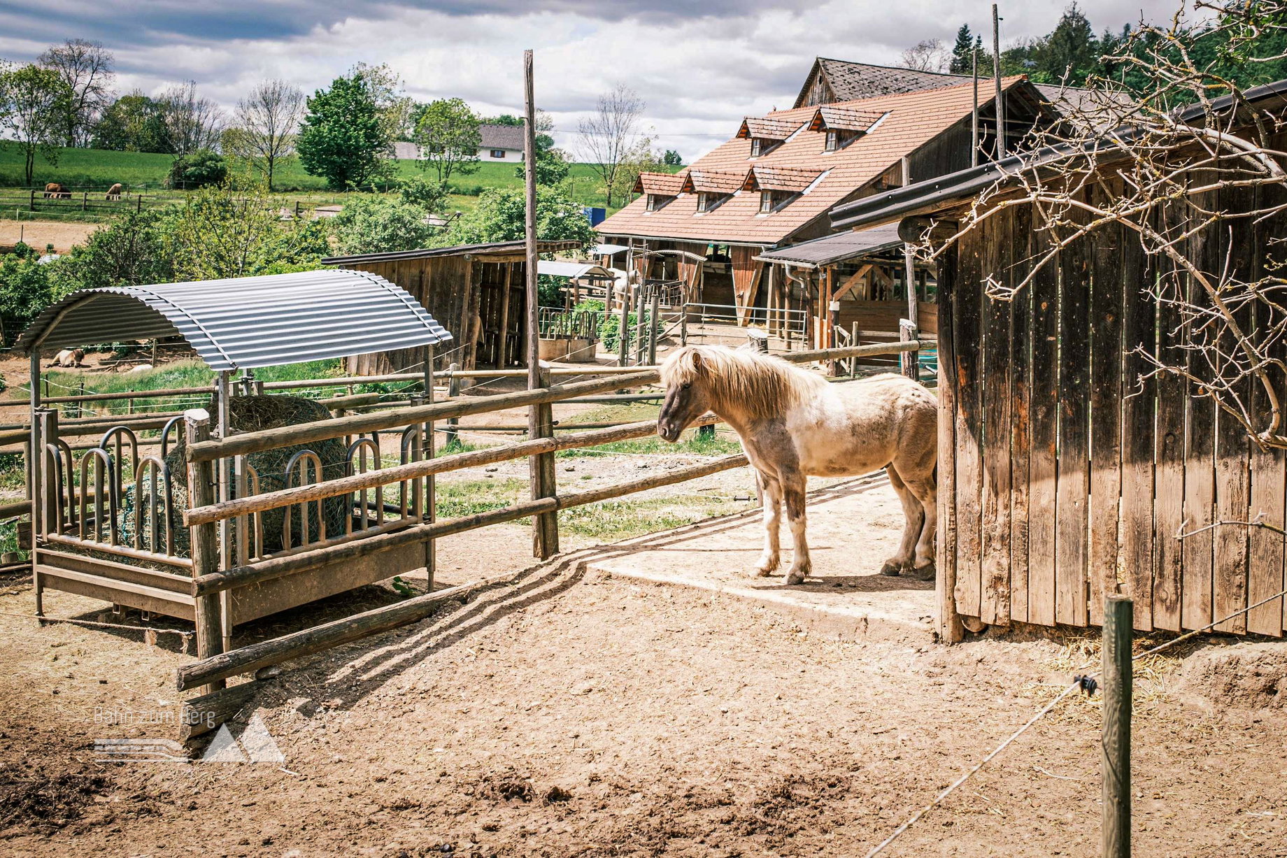 Ponyalarm in Rannach. Foto: Stefan Münzer