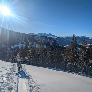 Vom Heutal über die Hochalm auf den Vorderlahnerkopf und das Peitingköpfl