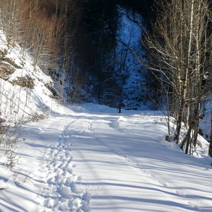 Sonnenspaziergang im Weihnachtsschnee: Hintersee - Lämmerbach