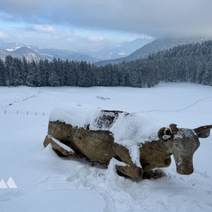 Winterwanderung Flintsbach – Hohe Asten – Petersberg