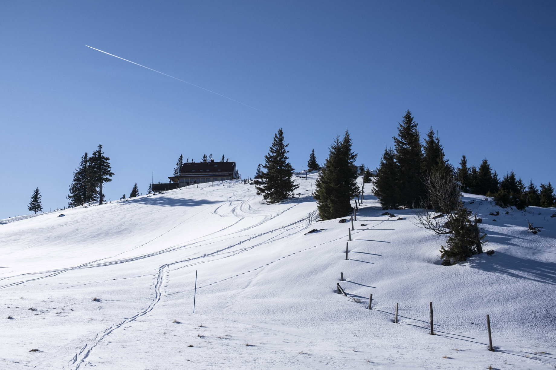 Nur mehr wenige Meter zum Annaberger Haus; Der Ötscher. Fotos: Birgit Reiter
