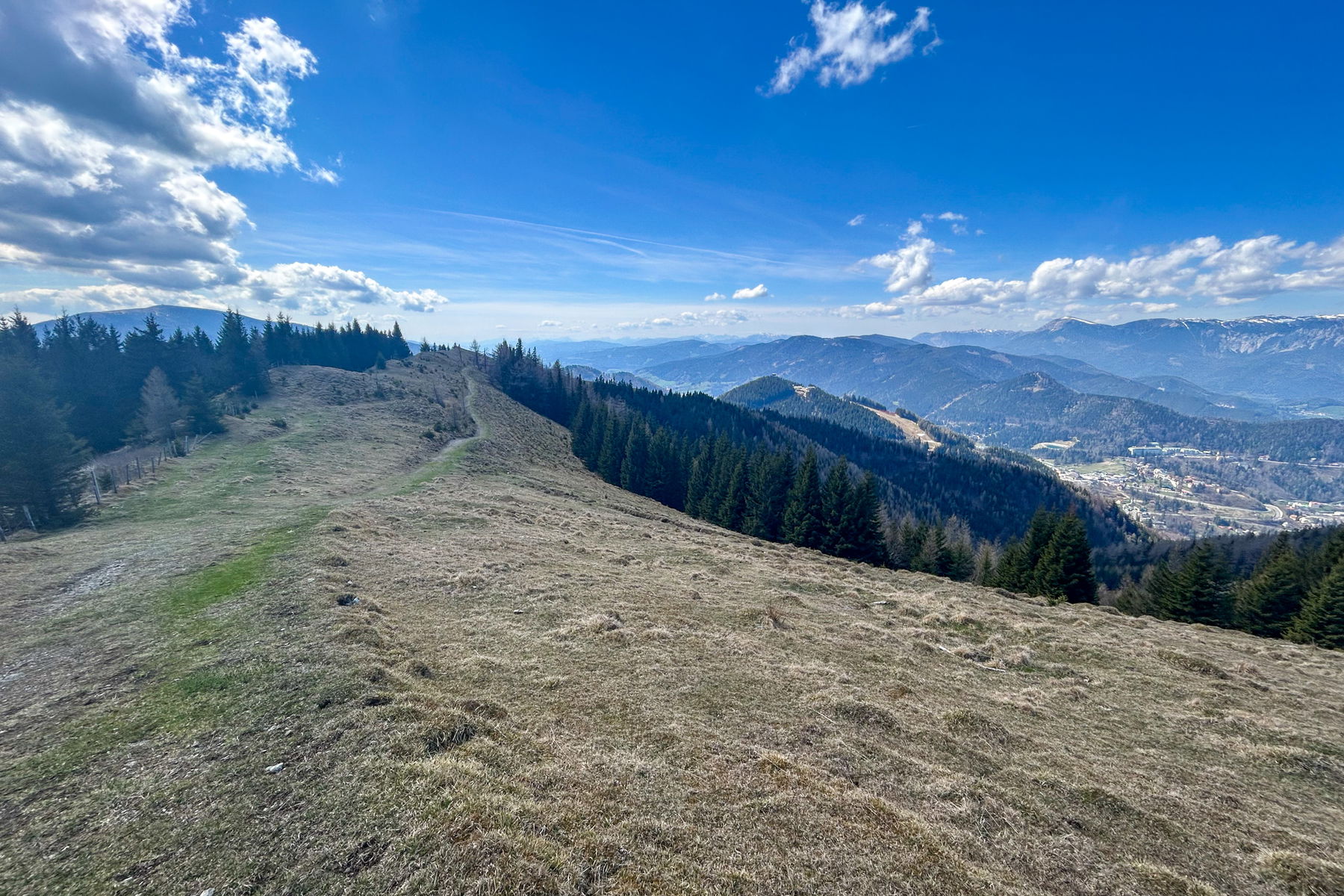 Drei possierliche Otter