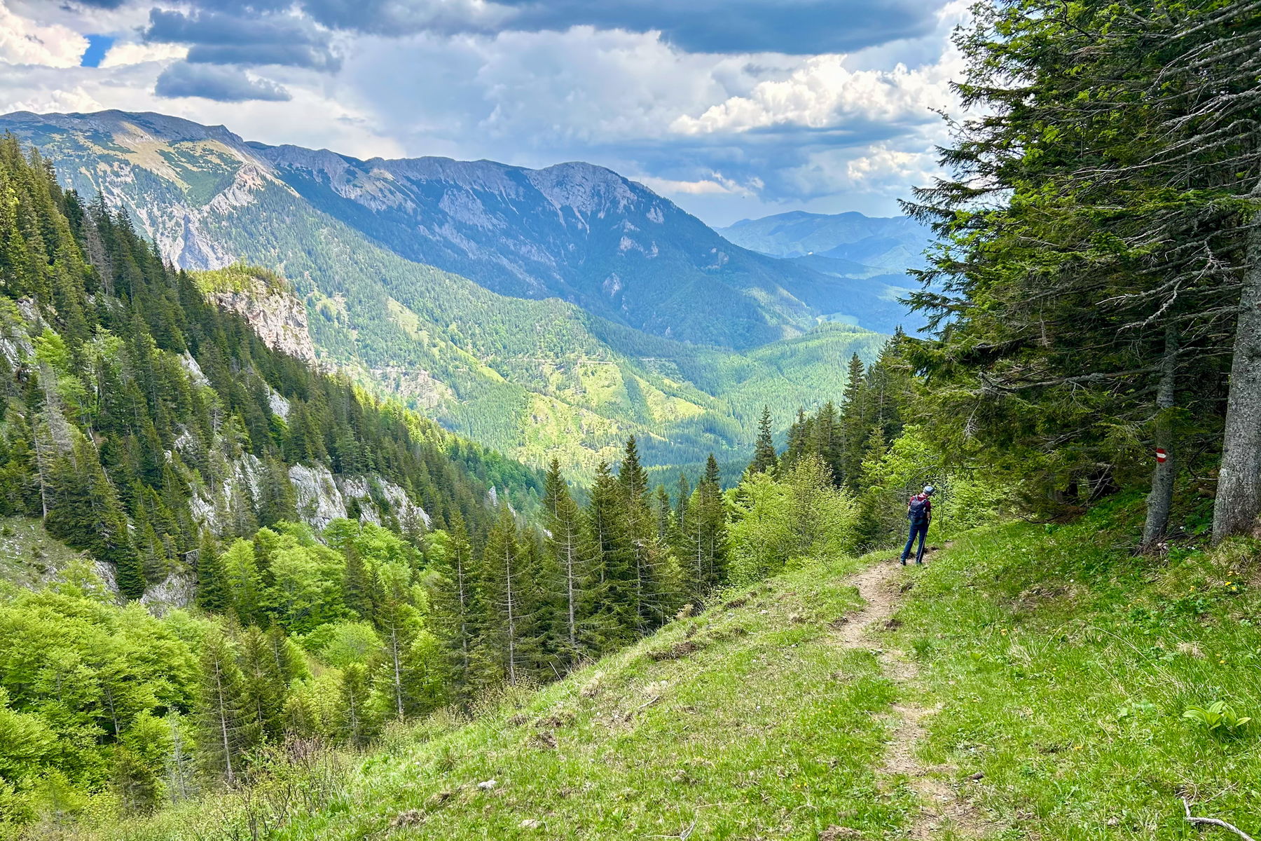 Almwanderung im Naturpark Mürzer Oberland