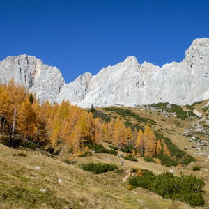 Im Angesicht der mächtigen Südwand des Dachsteinmassivs zur Dachsteinsüdwandhütte