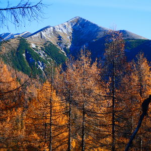 Vier Tage Herbst im Toten Gebirge: Warscheneck – Hochmölbing – Tauplitz